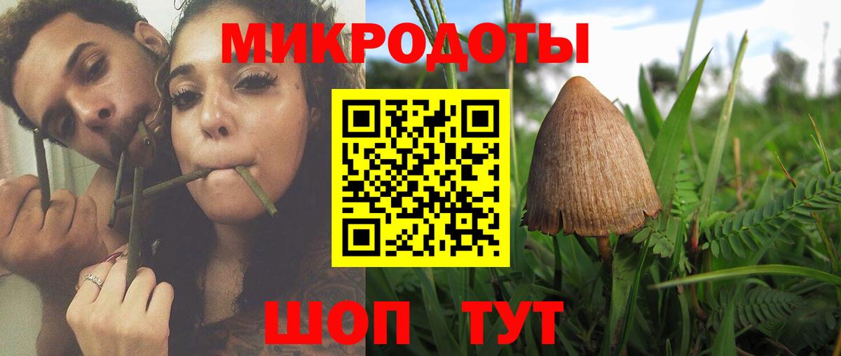 Приморско-Ахтарск  Галлюциногенные грибы ЛСД  Вход с VPN 